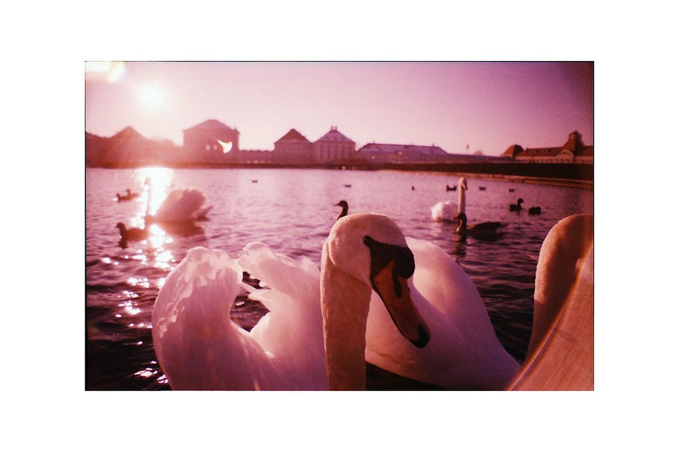 Thumbnail: Lomography La Sardina 8Ball Edition