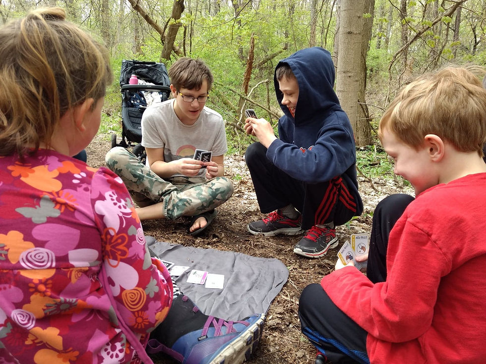 Nature Games in the Woods