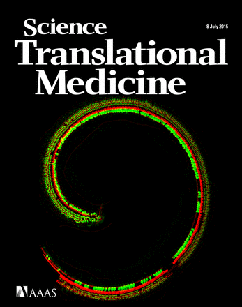 Cover STM 2017