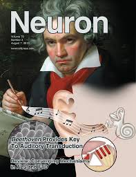 Neuron Cover 2013
