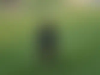 L'échauffement avant une partie de golf : ma routine simple pour bien démarrer