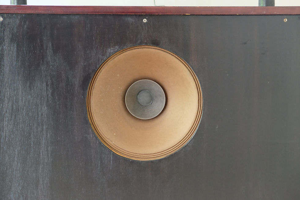 Thumbnail: Phillips AD5200 12 Inch 8ohms Alnico