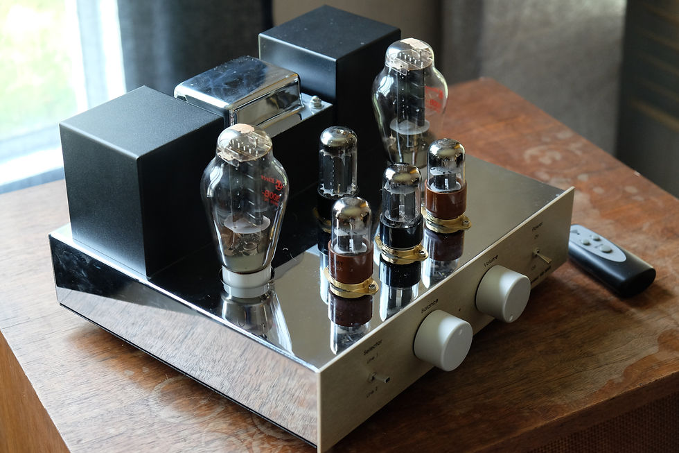 Thumbnail: TS Audio KB 300S 8W Single End