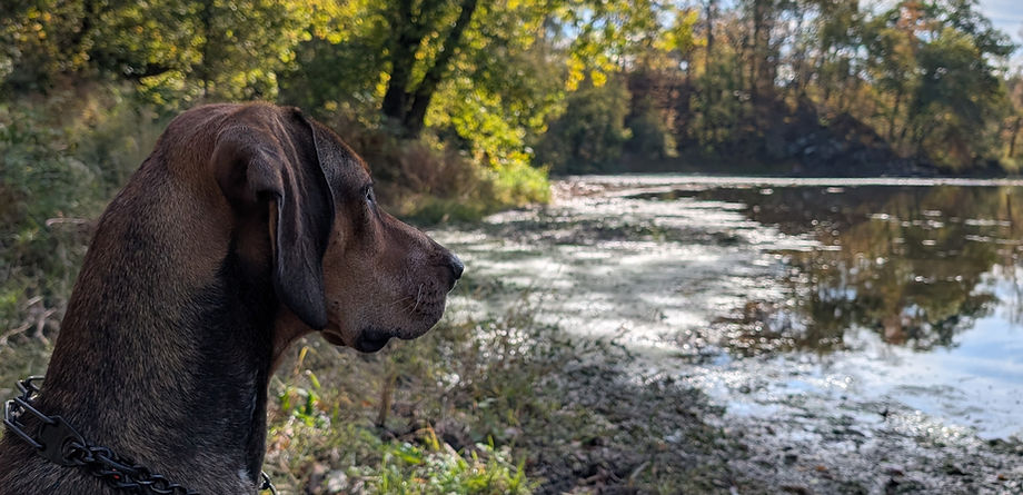 Tea at Tyler_edited.jpg