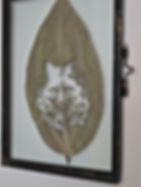 Fox Family Laser Engraved onto a Cinnamon Leaf and framed