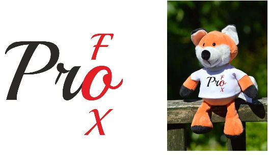 Thumbnail: Red Fox with printed T-Shirt Three designs to choose from