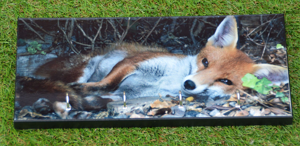 Fox Key Hanger | Fox Keyring Hanger | Gift Idea for the Fox Fan |