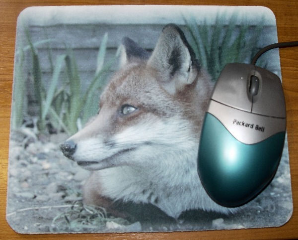 Red Fox Mouse Mats, choose what fox photograph you would like printing