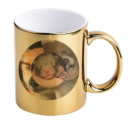 Fox Mug | Feeling Foxy words and fox photographs on Mirror Gold fox Mug