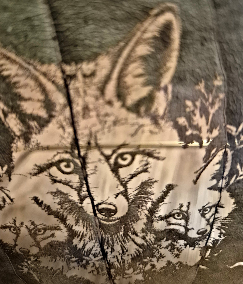 Thumbnail: Fox Family Laser Engraved onto a Cinnamon Leaf and framed