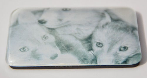 Thumbnail: Red Fox Glass Dome Fridge Magnets Three Designs to Choose from