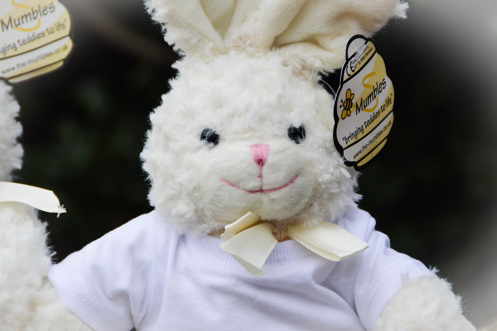 Thumbnail: EMBROIDERED Mumbles Bunny Rabbit in personalised T-Shirt, any name, Plush gift 6