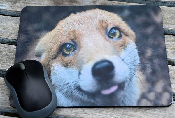 Thumbnail: Fox Mouse Mat