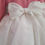 Thumbnail: Snowberry Rose