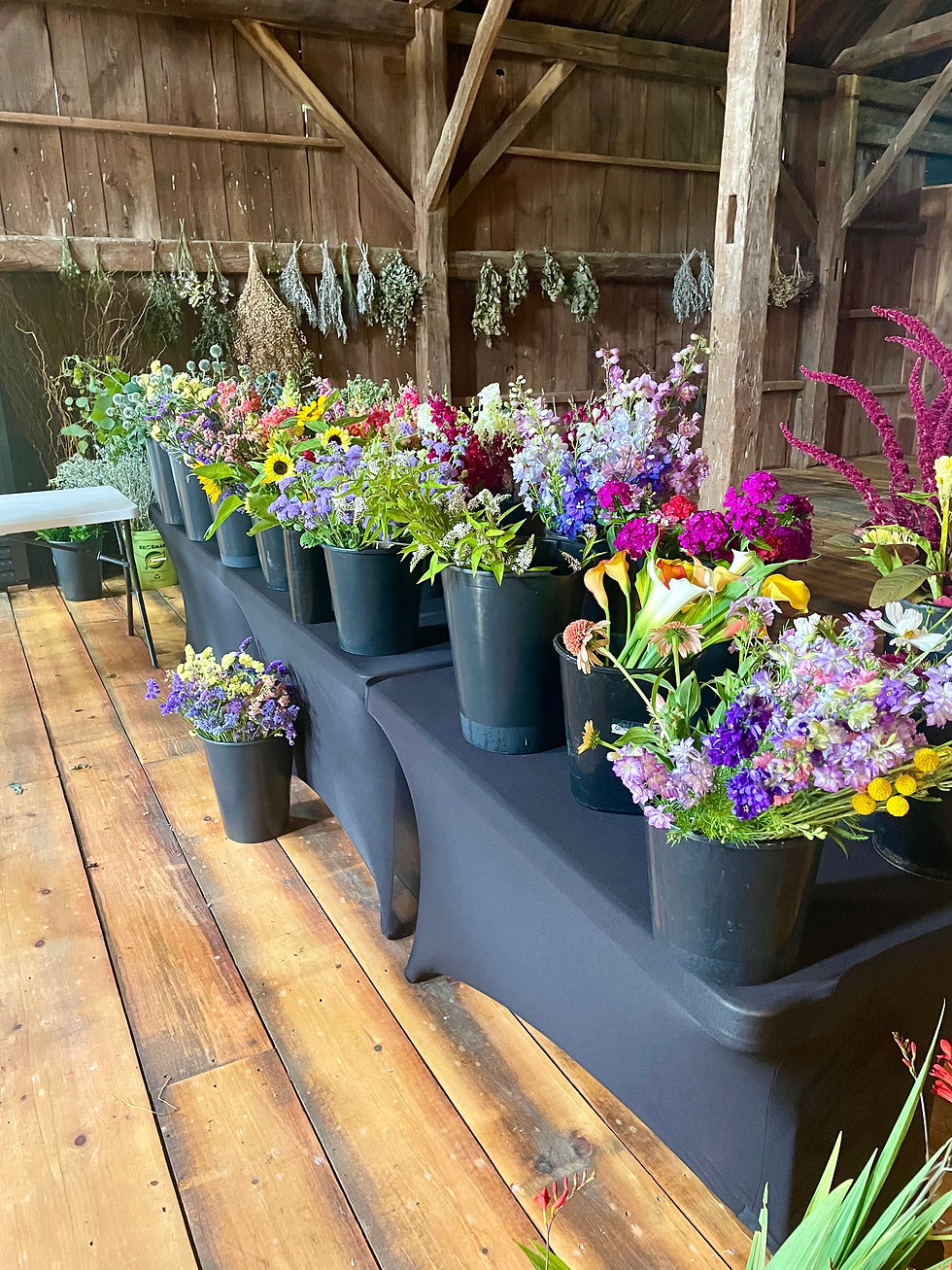 What is Flower Power Happy Hour?