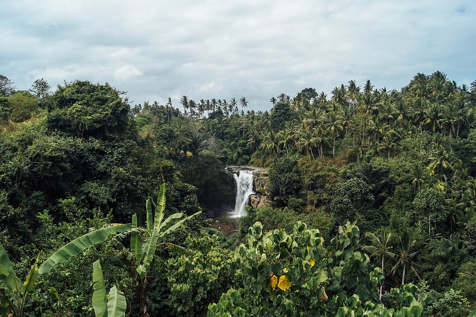 UdayaResort_waterfall