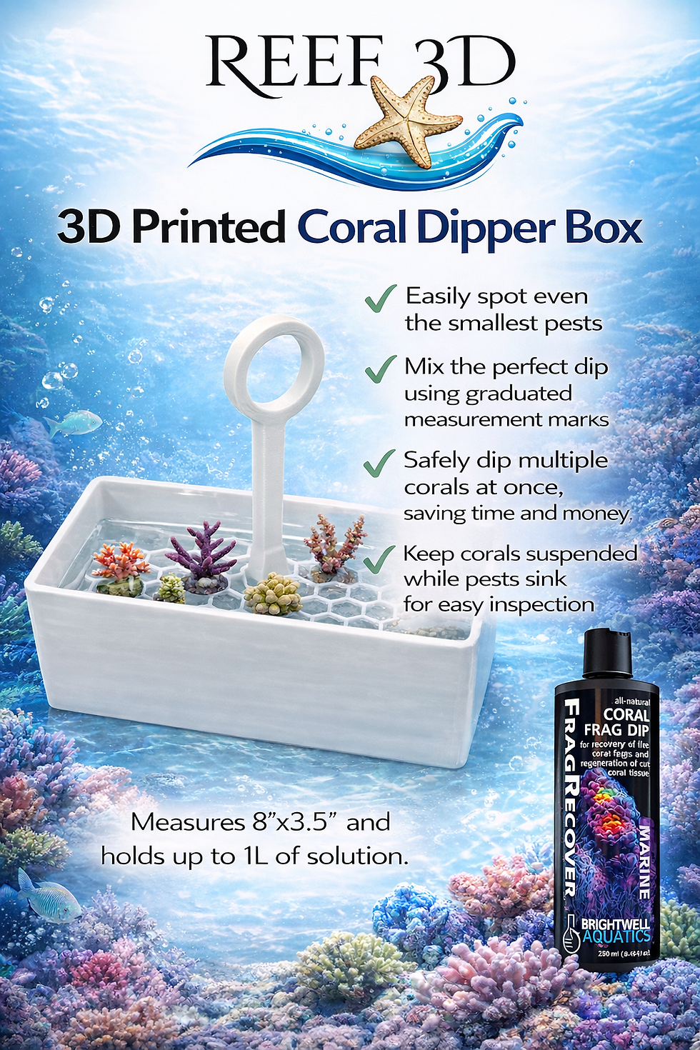 Thumbnail: Coral Dipper Box