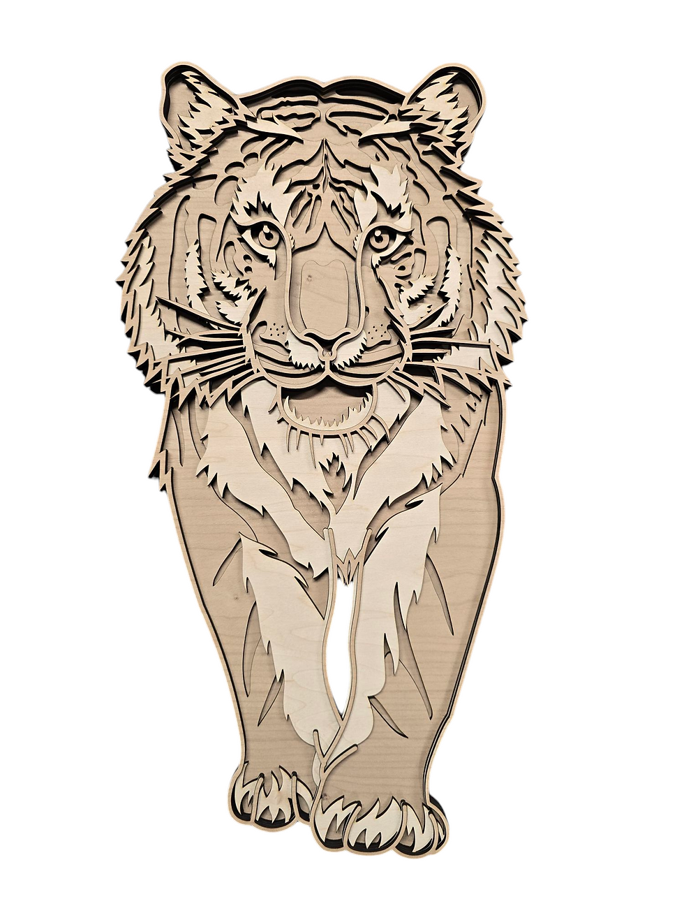 Thumbnail: TIGER 