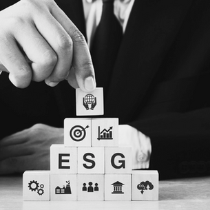 Unlocking Value in the Resources Sector: A Manager's Guide to Leveraging ESG for Business Excellence
