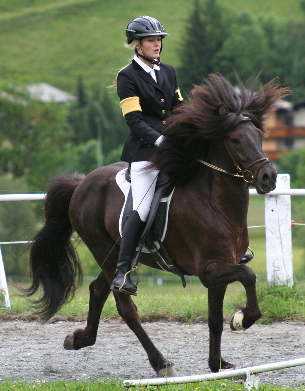 Caro mit Thokki