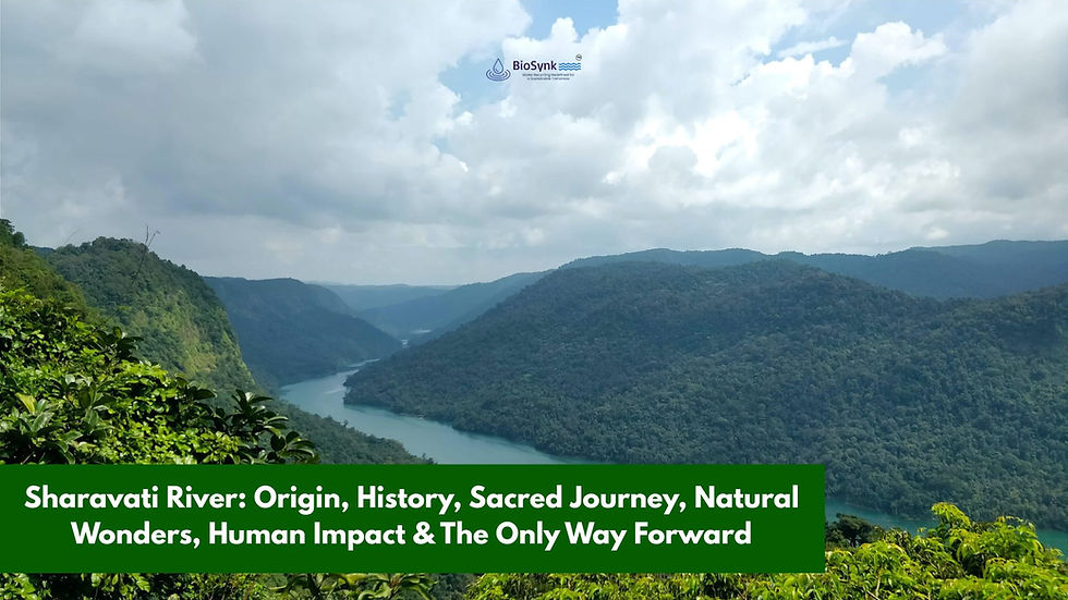Sharavati River: Origin, History, Sacred Journey, Natural Wonders, Human Impact & The Only Way Forward