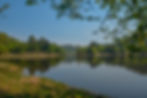 Bio Remediation of Water Bodies.jpg