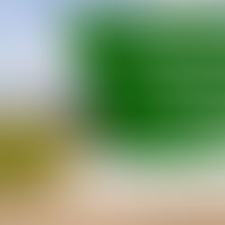 Industrial Park Sewage Treatment Plant: Why Bio STP Is the Most Reliable, Eco-Smart Choice in 2026