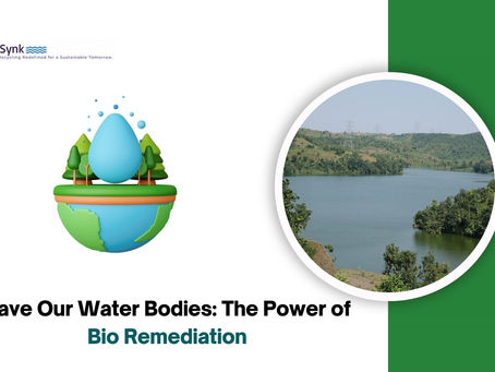 Save Our Water Bodies: The Power of Bio Remediation