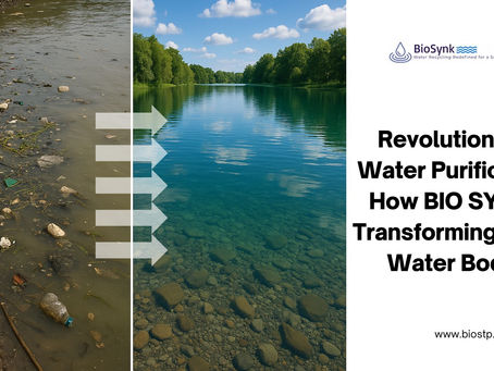 Revolutionizing Water Purification: How BIO SYNK is Transforming India's Water Bodies