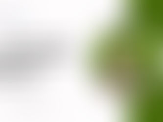 Is the Bio STP CPCB-Compliant and Does It Help with NOC Approvals?