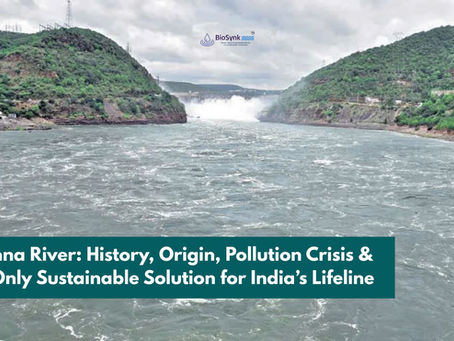 Krishna River: History, Origin, Pollution Crisis & The Only Sustainable Solution for India’s Lifeline