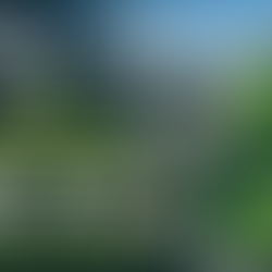 STPs Can Capture Valuable Methane — But Most Don’t Use It Efficiently