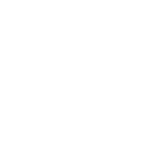 Scroll Animation