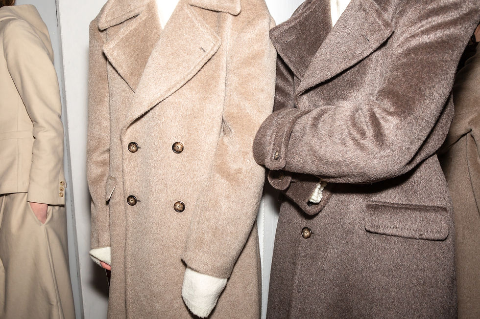 Fashion trend forecasting system