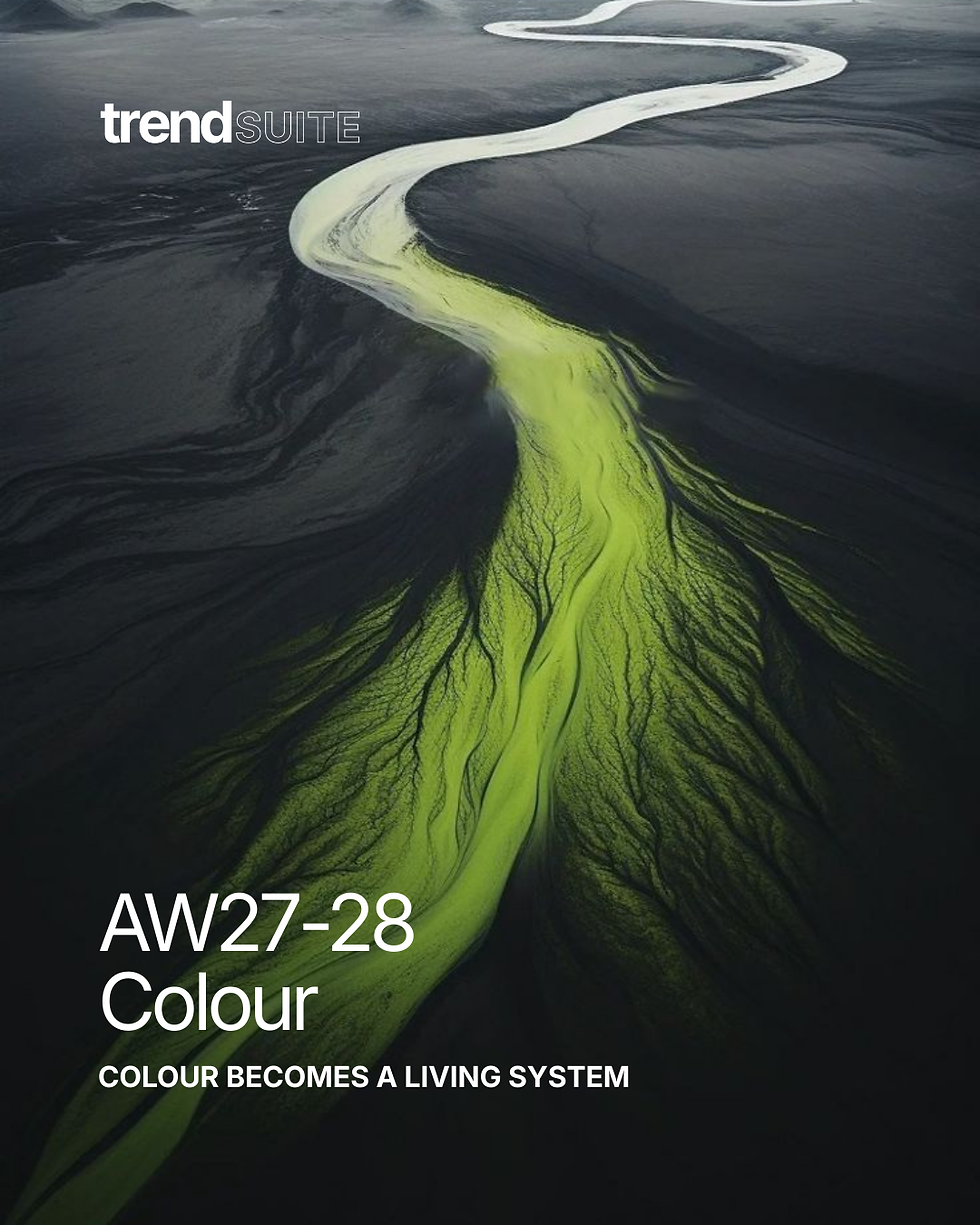 colour Trends