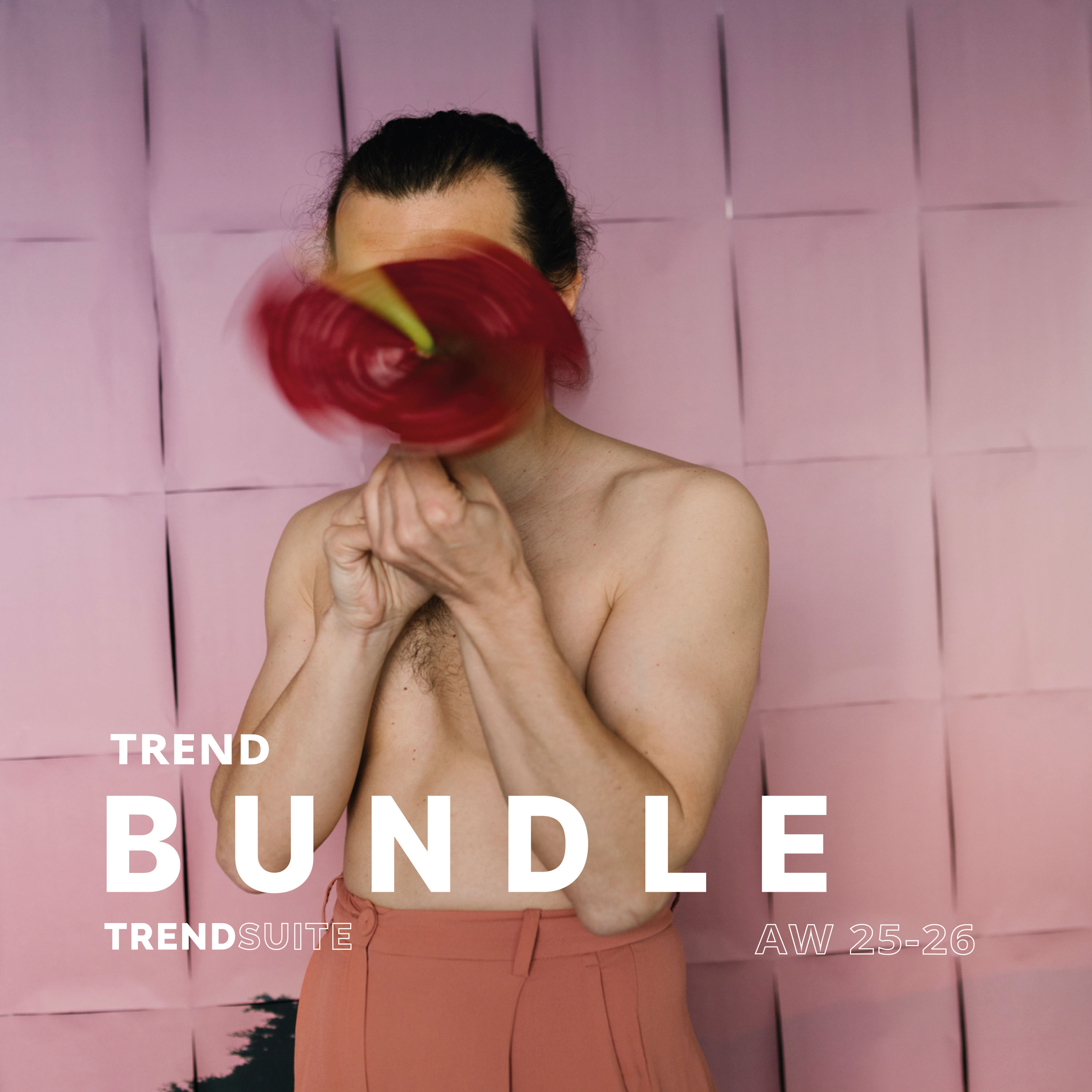 AW25-26 Influences, Colour and Print Trend Forecast Bundle, men, AW2025-26 Fashion Trend Book Bundle, men