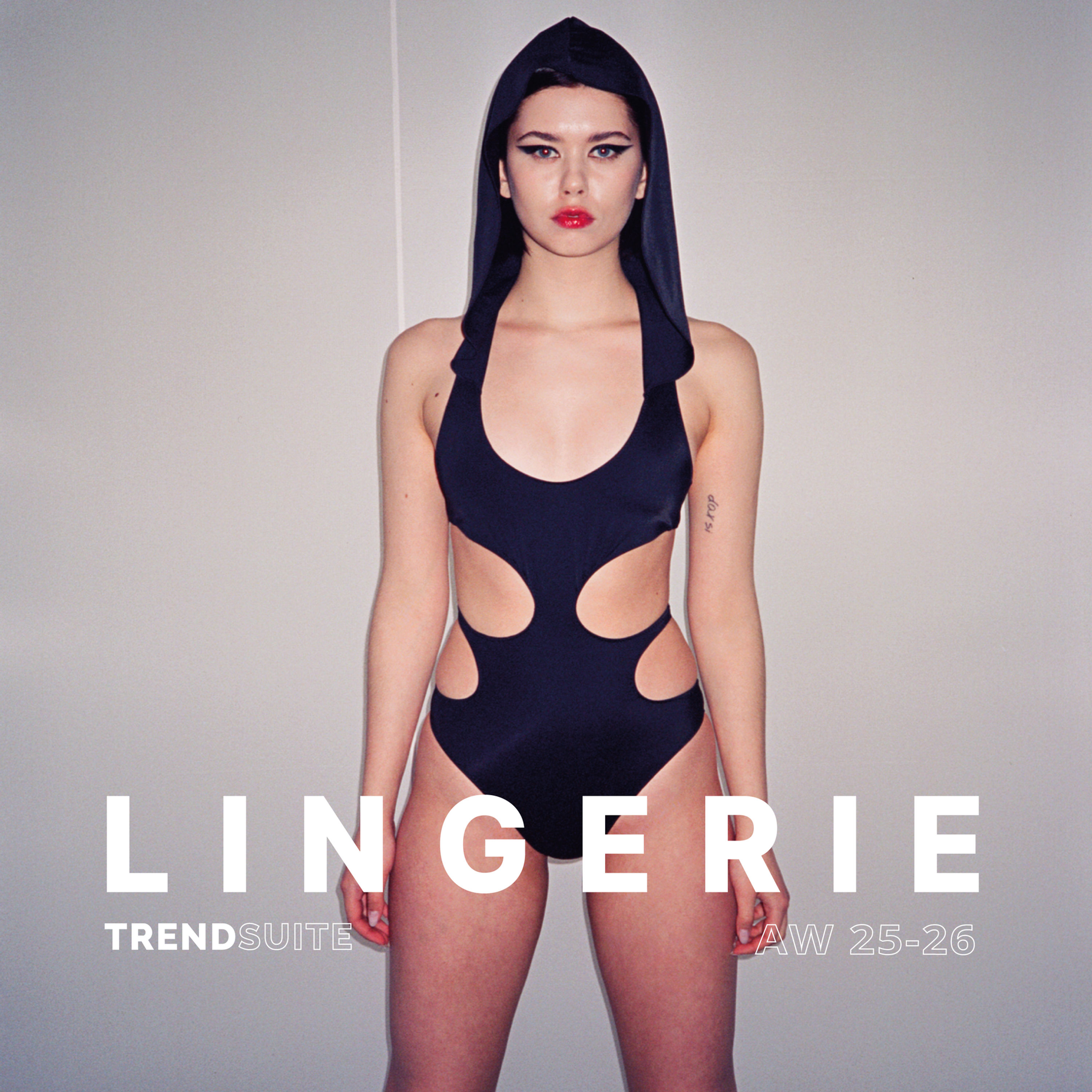 AW25-26 Lingerie and Sleepwear Trends, Autumn Winter 2025 2026 Lingerie, Sleepwear and Intimates Trend Forecast Book