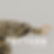 Autumn Winter 2027-28 Womenswear Pattern Trend Forecast