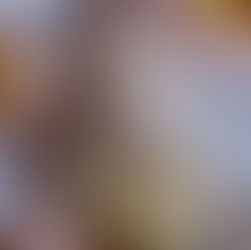 Fashion Trends 2027 Forecast