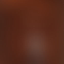 AW27/28 Womenswear Macro Forecast