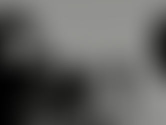 Aesthetics of Belonging