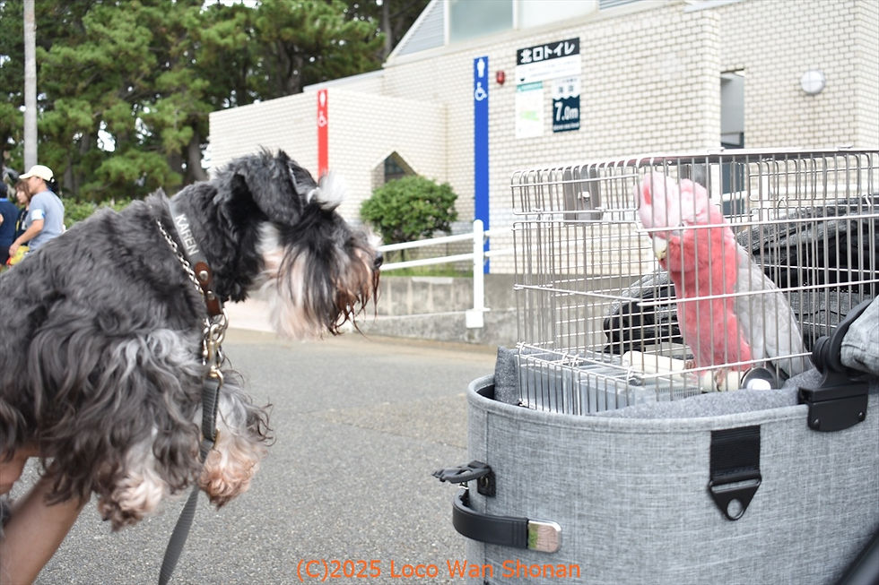 公園にはいろんな刺激がいっぱいです(笑)