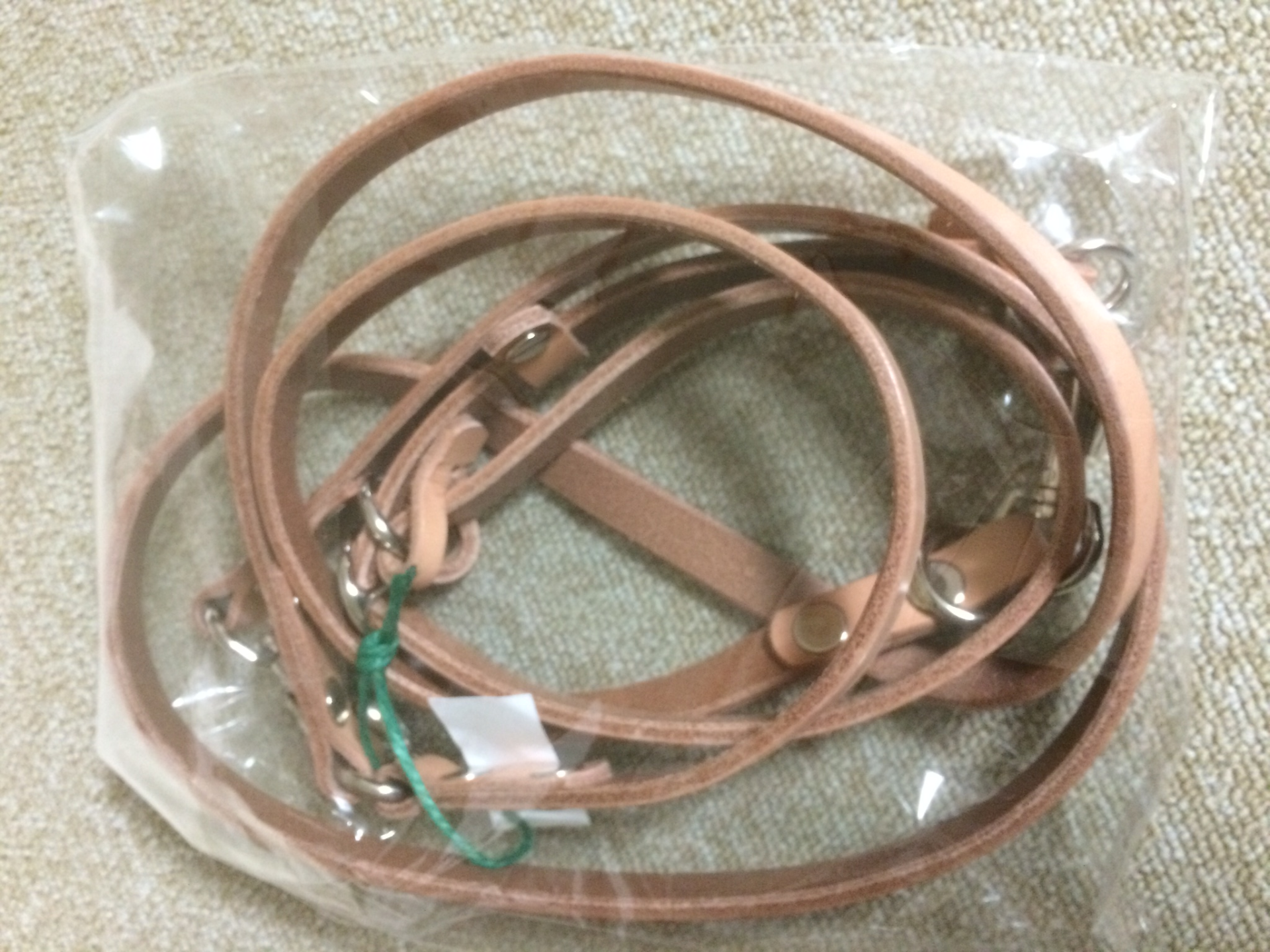 リード＆カラー