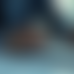 Harnessing the Power of Video in Financial Media