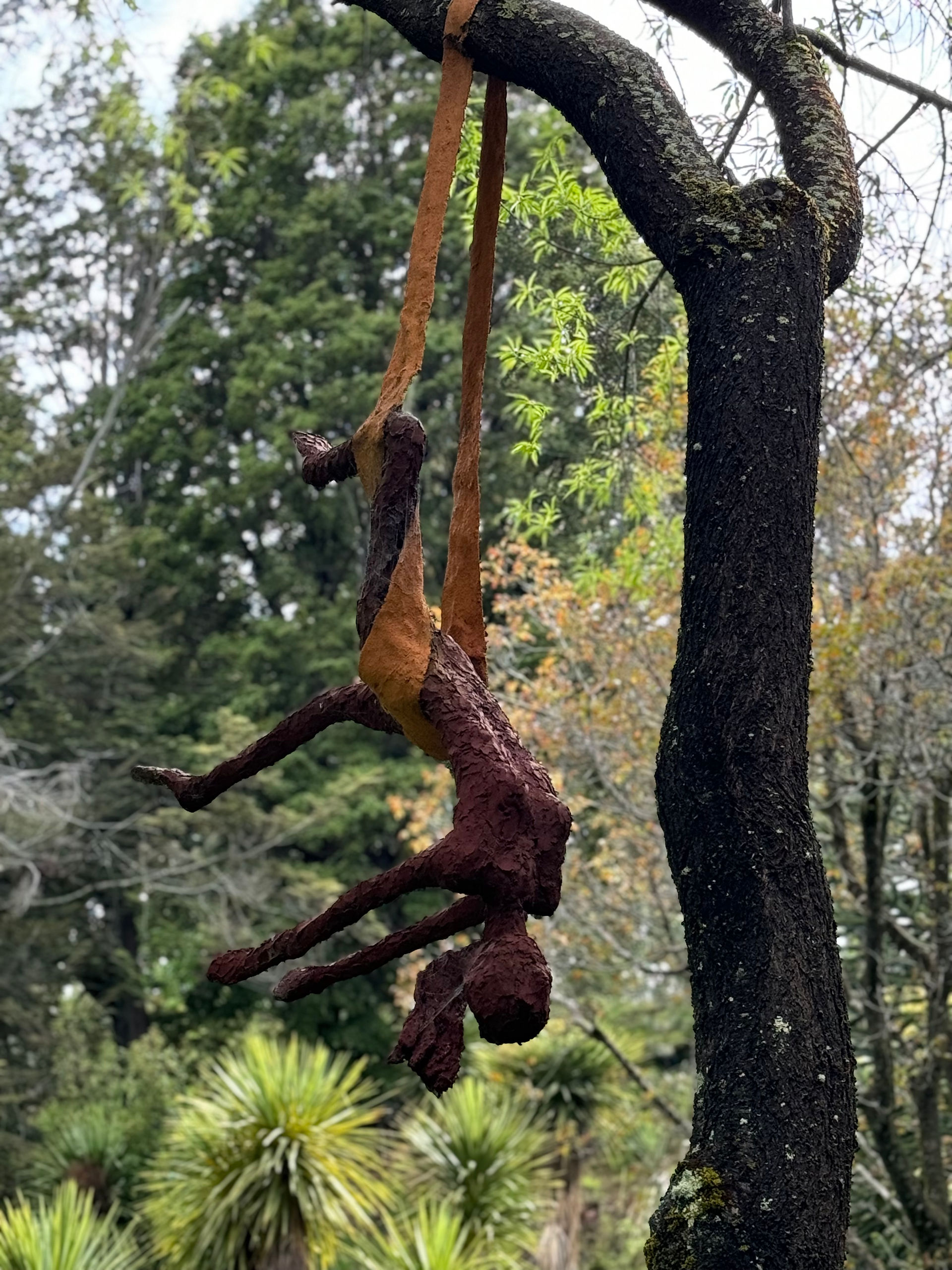 Hanging from a tree