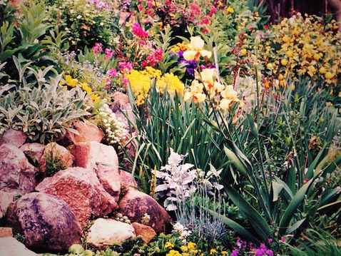 MY LIFE WITH PLANTS: 1994 - Part 1