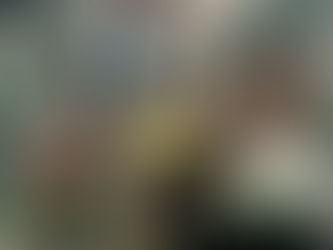 HORTICULTURIST OF THE YEAR: 2011