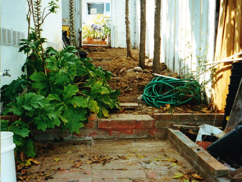 MY LIFE WITH PLANTS: Steep Challenge