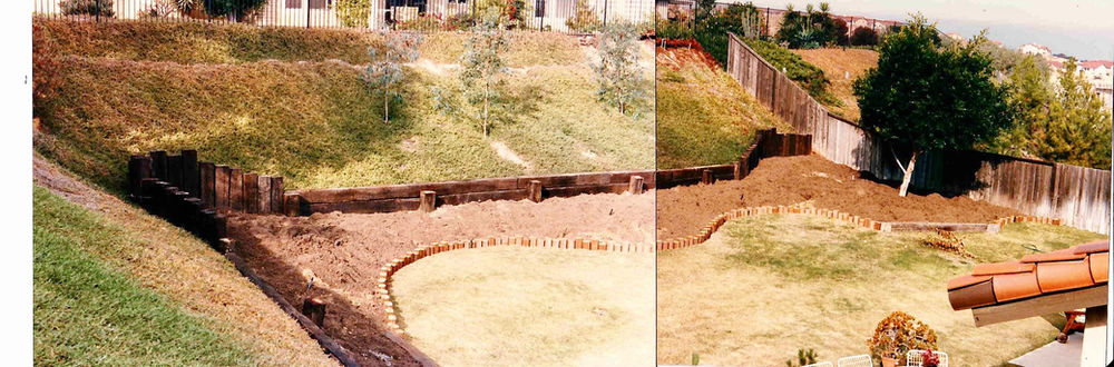 MY LIFE WITH PLANTS: Nothing but Dirt