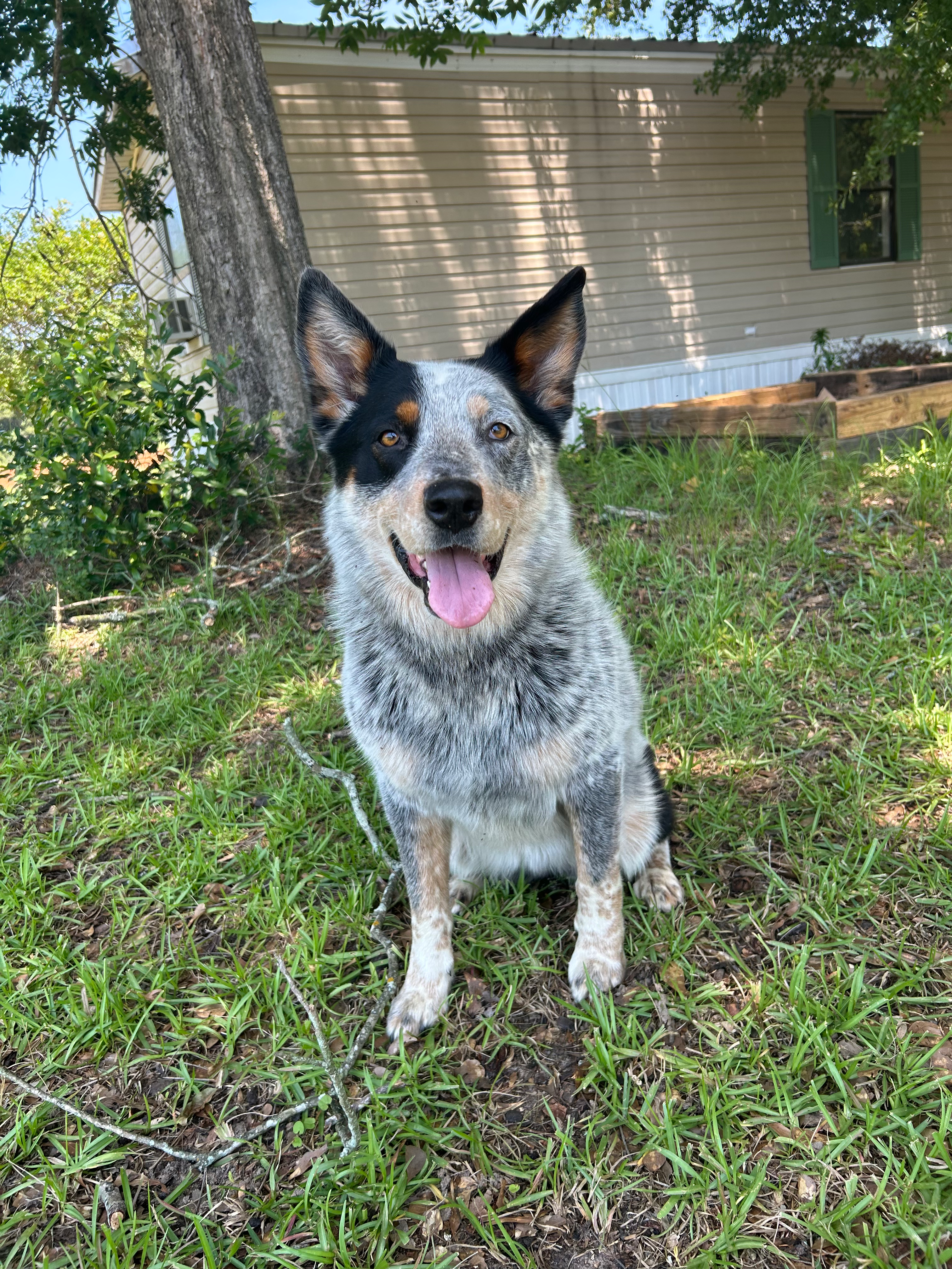 Writer: Staff Writer